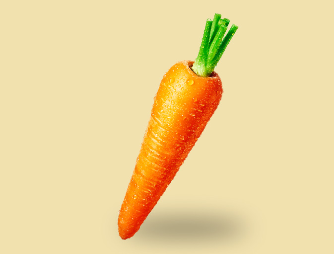 Fresh carrot 