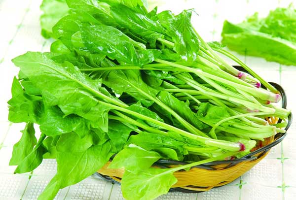 Three tips on how to keep your greens fresher longer