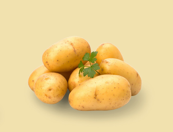 Fresh Potato 